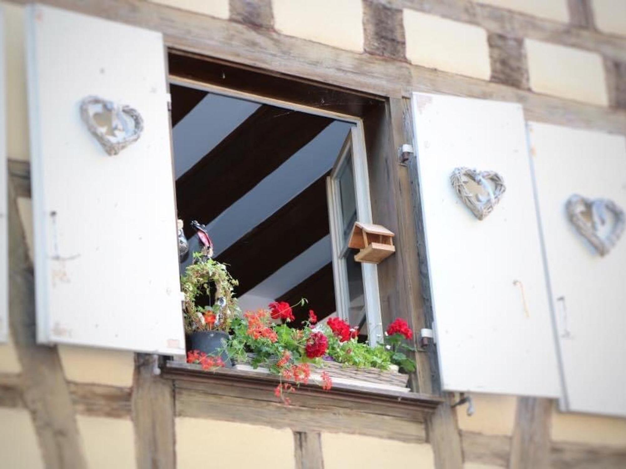 Charmant Appart Avec Garage Et Terrasse Au Coeur De Colmar, Pres De La Route Des Vins D'Alsace - Fr-1-722-6 外观 照片